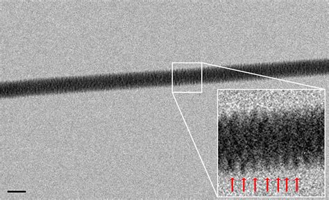 real dna strand under microscope.